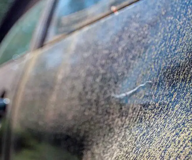 how-to-effectively-remove-mold-from-your-car-s-exterior-autopickles